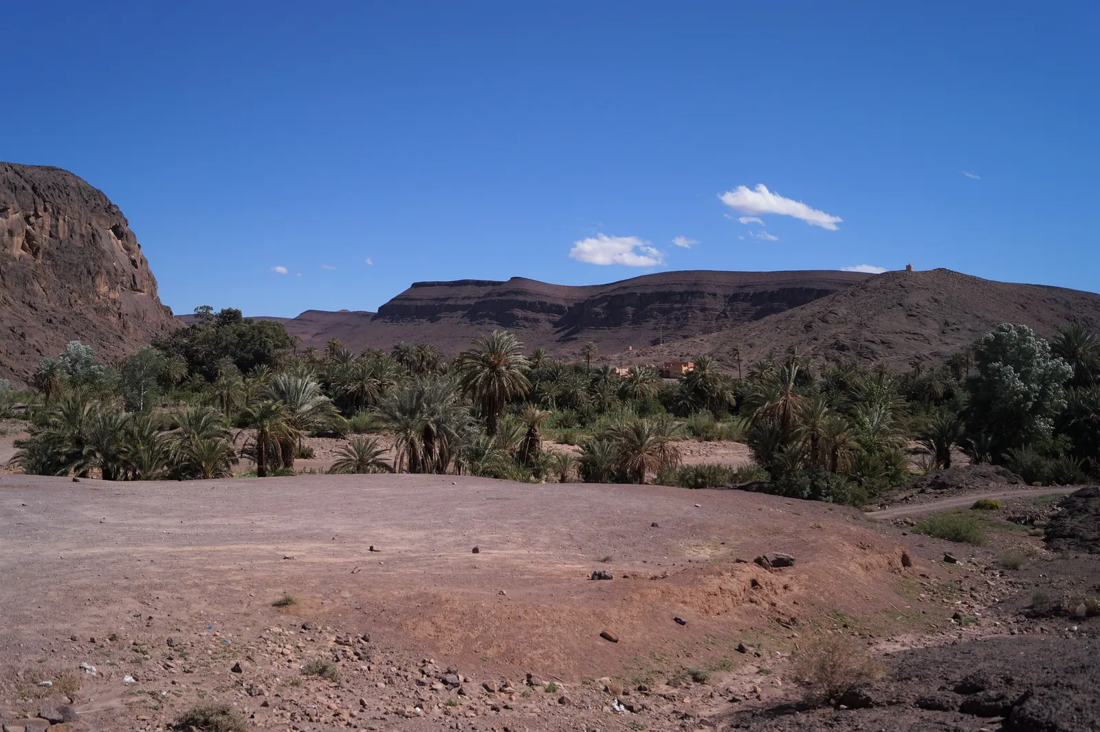 Oasis de Fint